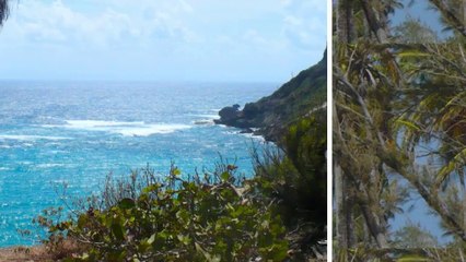 Segway Tours in Barbados