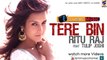 Tere Bin | Ritu Raj ft Tulip Joshi | Official Video || Album STAR | Latest Punjabi Pop Hit Song-2014