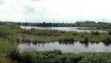 La Meuse près de Meers