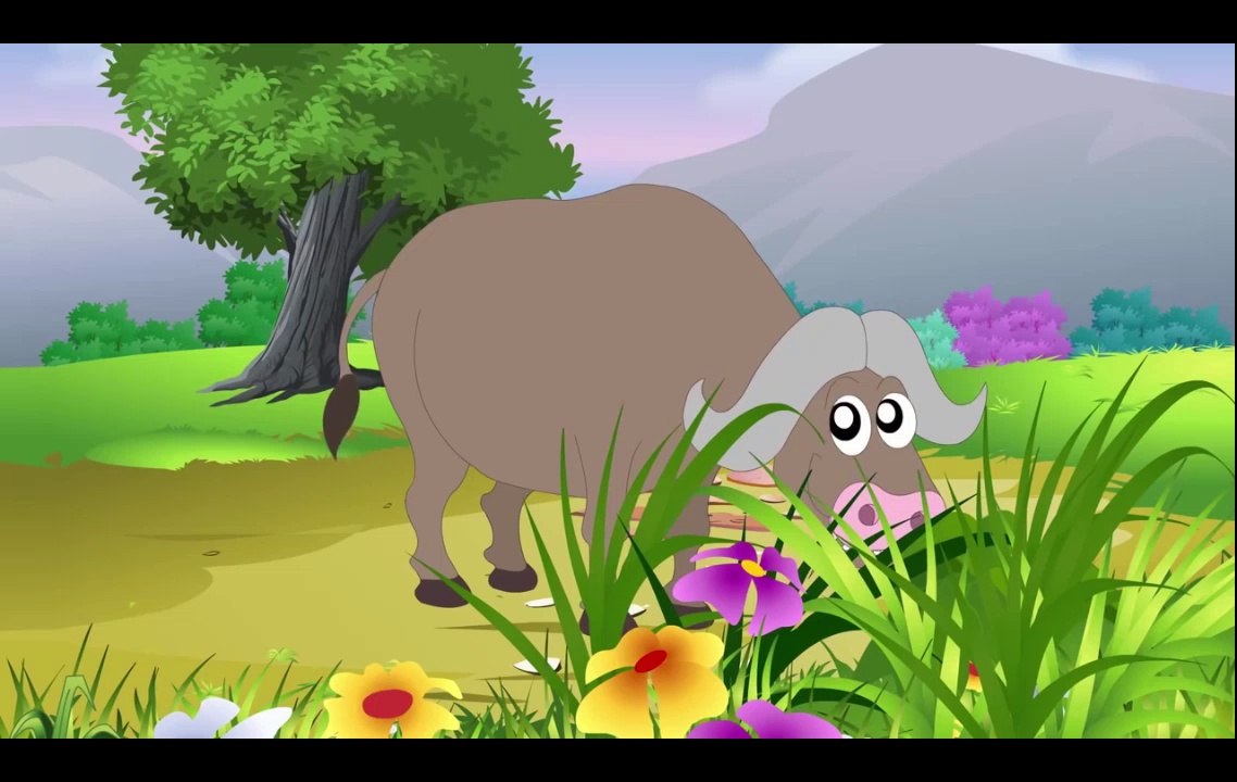 Appu - Animal Sounds