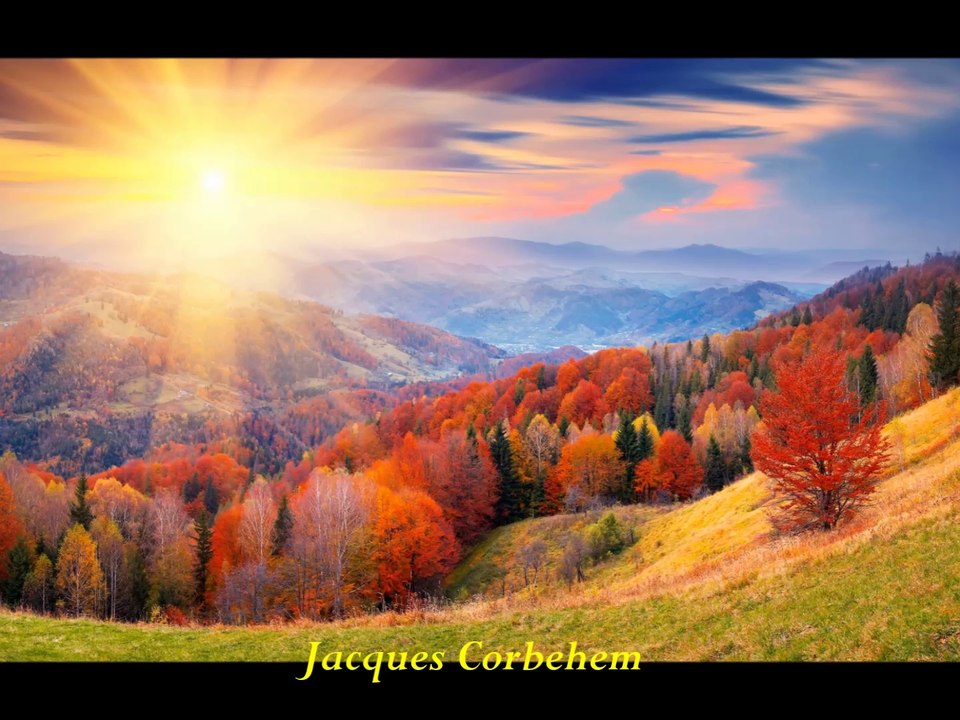 POÈME :  " AU ZÉNITH DE TON CŒUR "