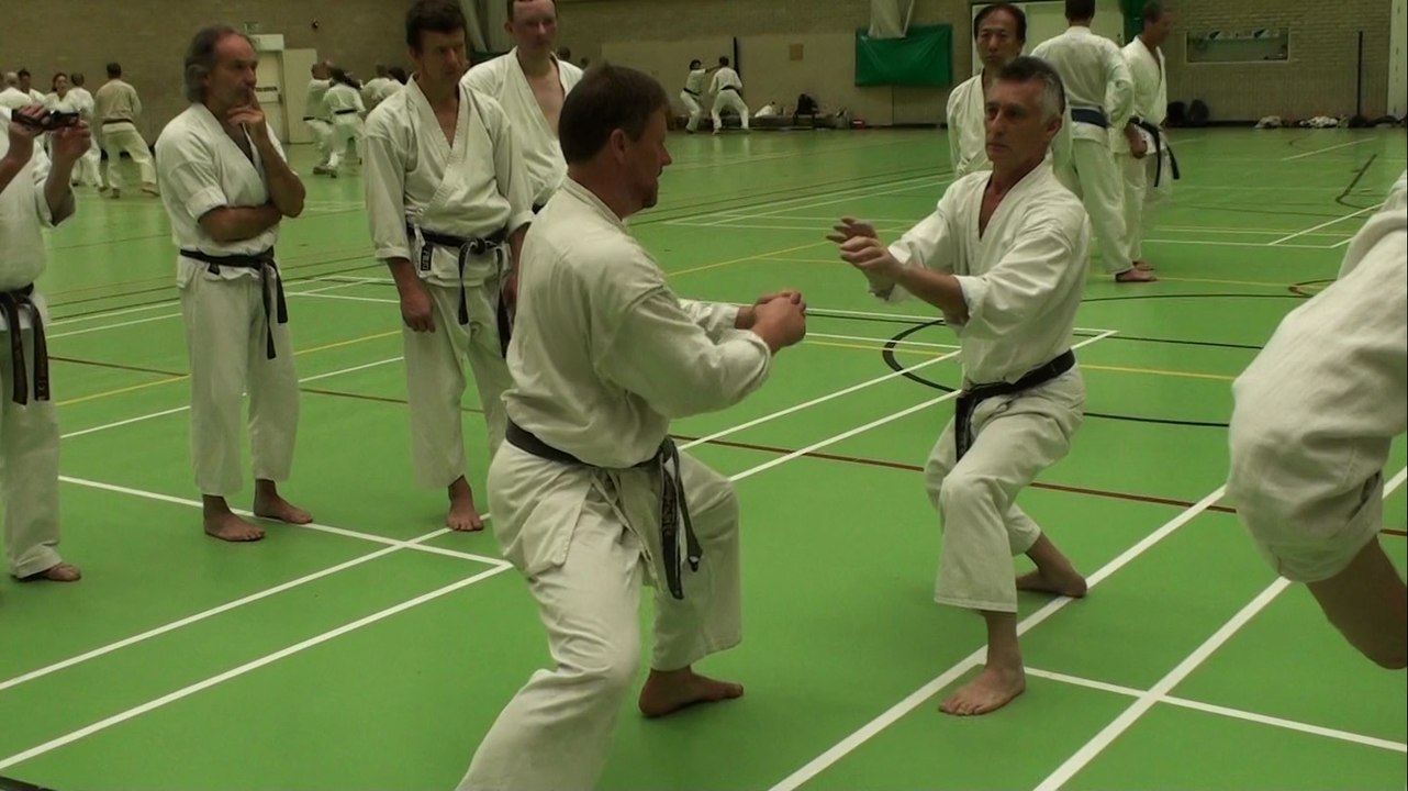 Summer school 2014, cours des anciens