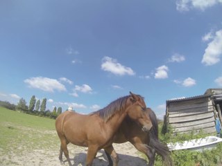 2014.09.03.b.exterieur