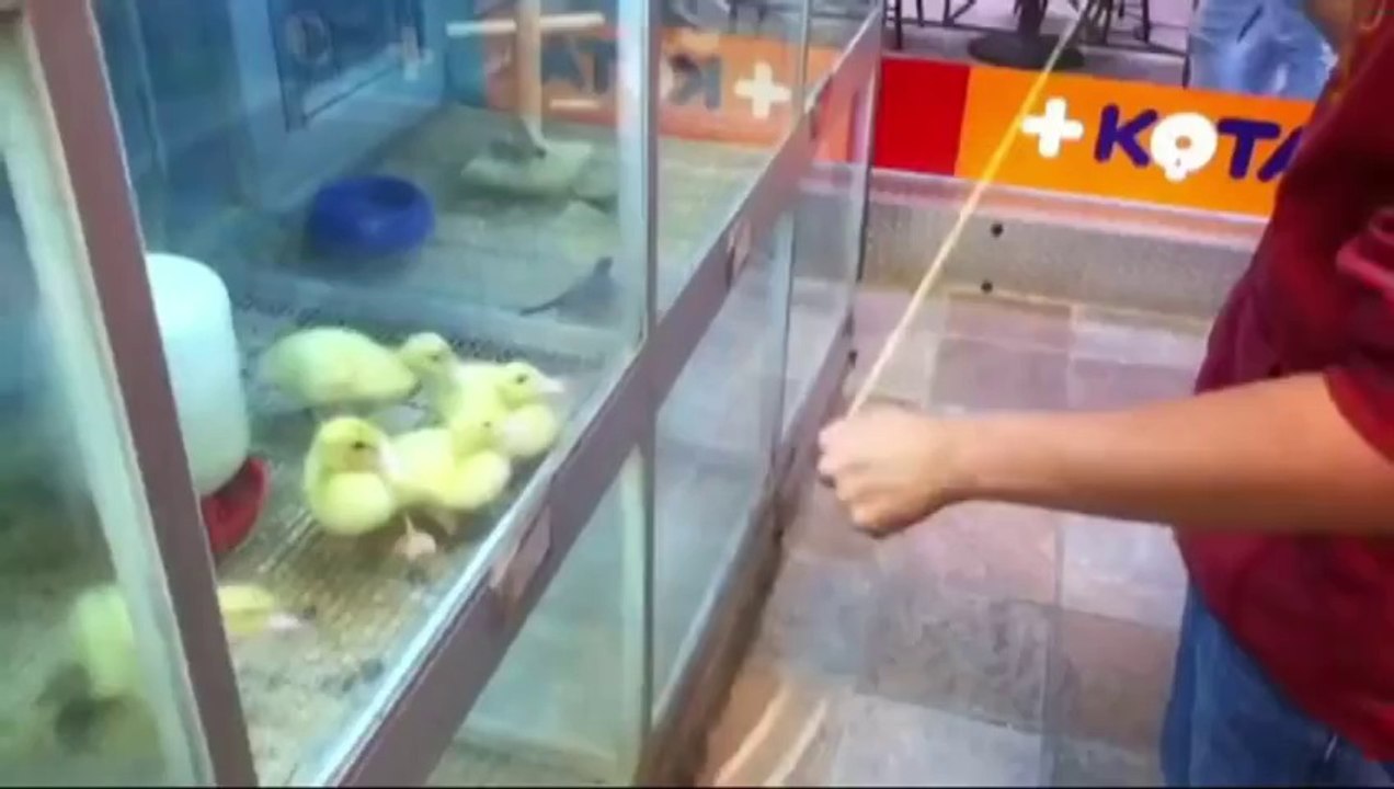 BEST of Fail _ Win Compilation 2011 (HQ)
