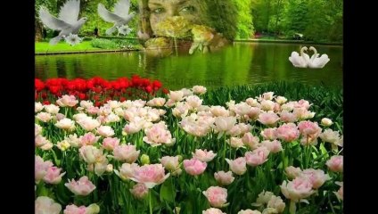 ACIYA TUTUNMAK   SEYDUNA TÜRKÜLER