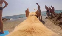 RUNNING DOG WITH A GoPro! | What's Trending Now!