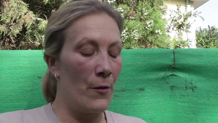 Le sort tragique des chiens errants de Kaboul