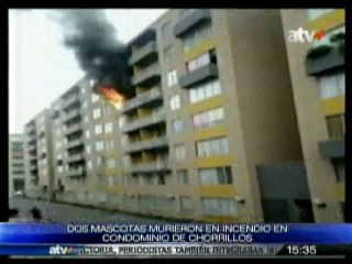 Dos mascotas fallecen en incendio en condominio de Chorrillos