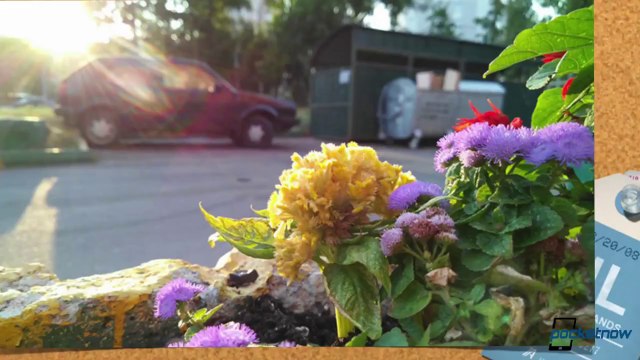 Galaxy Note 4 camera, working iPhone 6 leaks, iWatch times & more - Pocketnow Daily