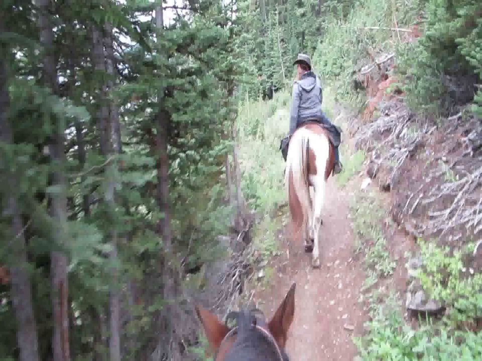 Auf dem Pferderücken durch die Berge