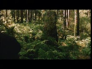 Le Labyrinthe de pan -Ext 2