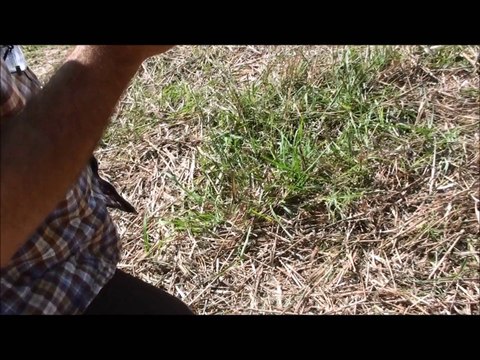 Kronos Chamber mf 925 hazneli alan tarama