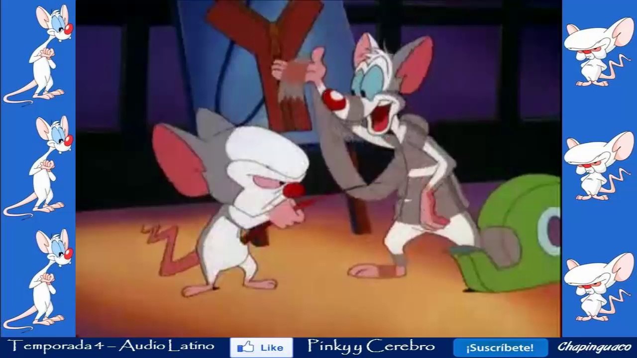 Pinky y Cerebro Capitulo 63