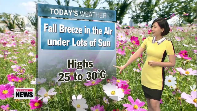 Beautiful early autumn weather in store