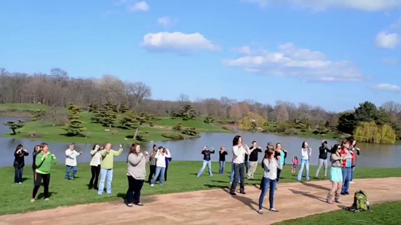 Edgar & Agnieszka Flash Mob Marriage Proposal - Chicago