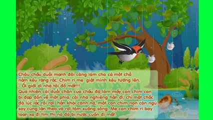 Chuyện kể cho bé: Vụ Kiện Châu Chấu