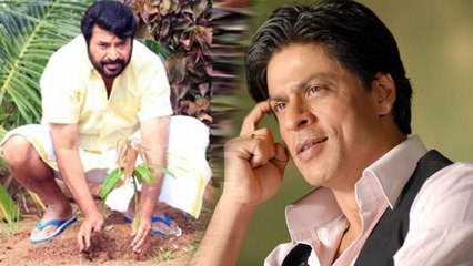 Shah Rukh Khan Gets Nominated For Tree Challenge | CHECK OUT