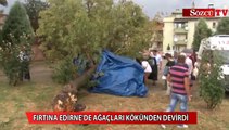 Fırtına Edirne’de ağaçları devirdi