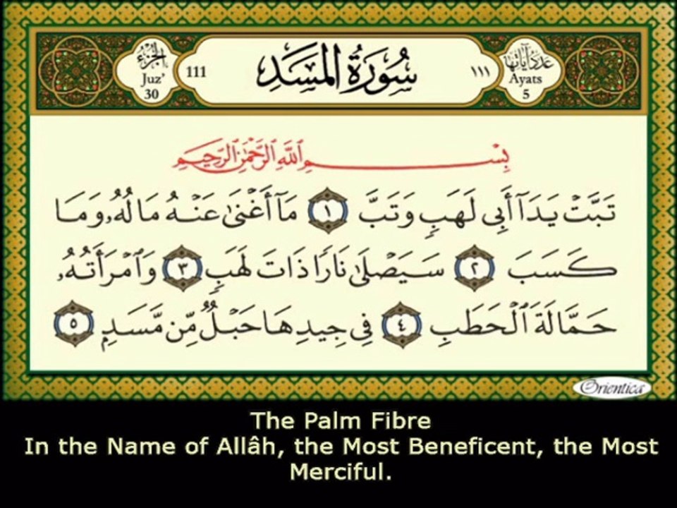 111, The Palm Fibre