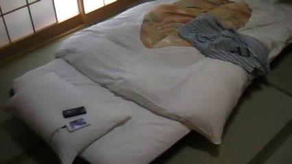 Streetpass 3ds japon Mai 2014