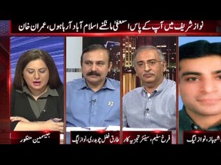 AbbTakk - POP (Anchors)