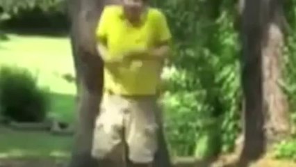 FUNNY ACCIDENT 2013 VIDEOS Fail compilation 2013 funny clips 2013 funny videos best Vine
