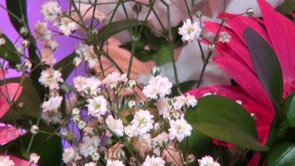 Meus 15 anos - Renata - Abertura - Sthigma videoprodutora