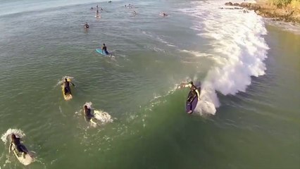 Descargar video: Noosa Heads, le paradis des surfeurs australiens