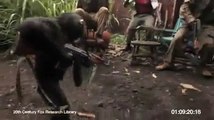 Maymunun Eline silah Verilirse Ne Olur