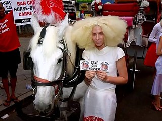 В Нью-Йорке поругались из-за показа мод на лошадях