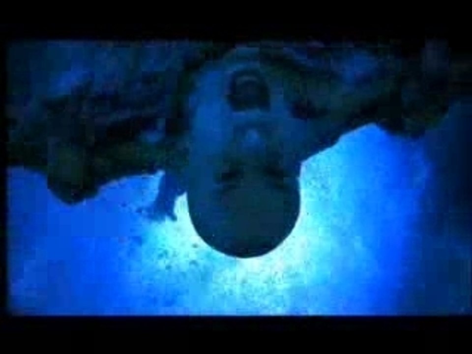 PARTY ANIMALS - Aquarius