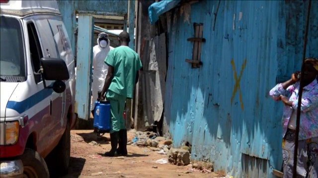 Ébola: OMS impulsa tratamientos experimentales