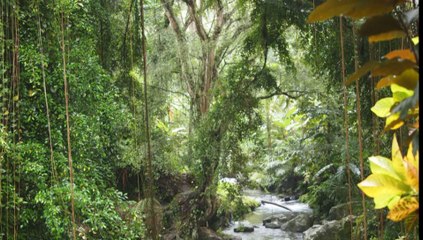 Voyage de noces à Bali