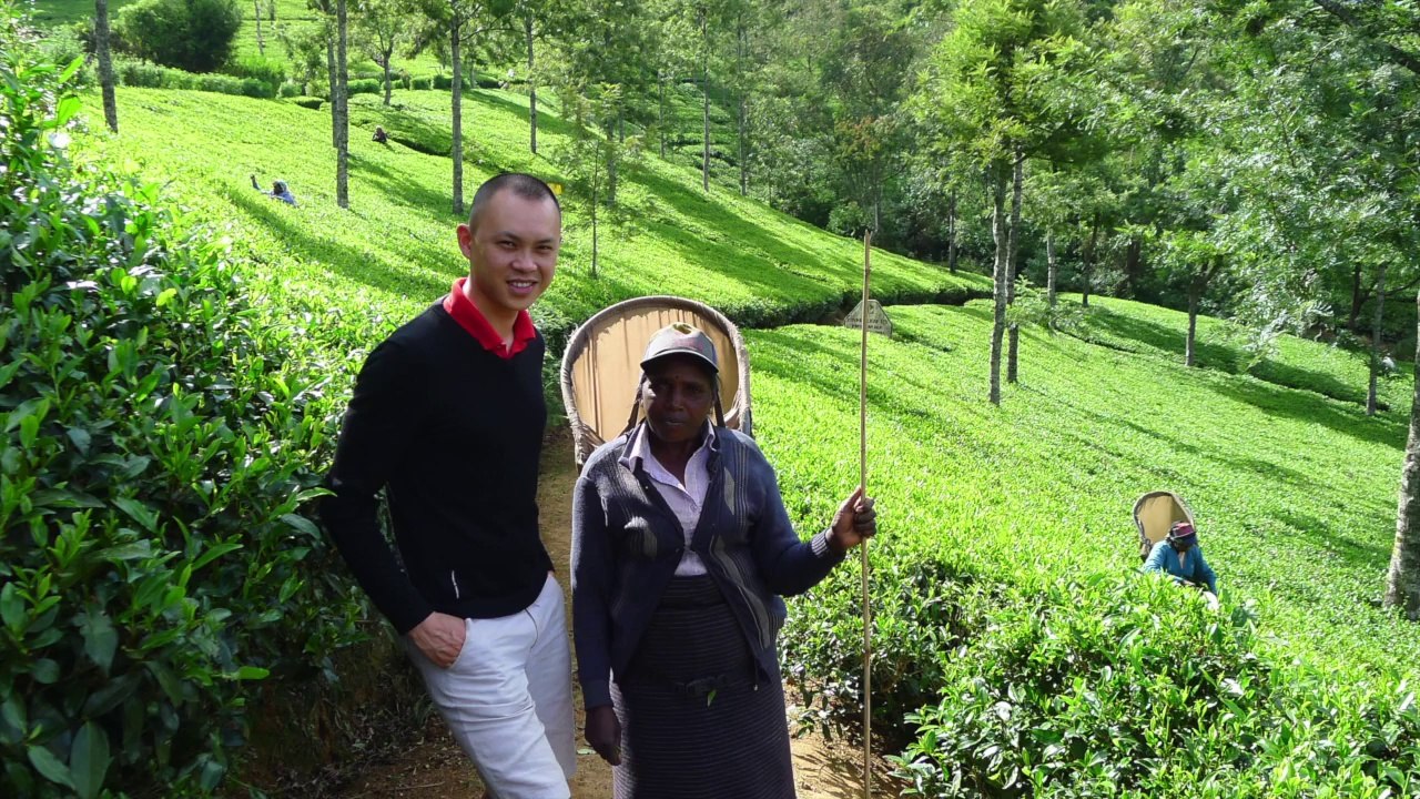 Sri Lanka Nuwara Eliya Ella