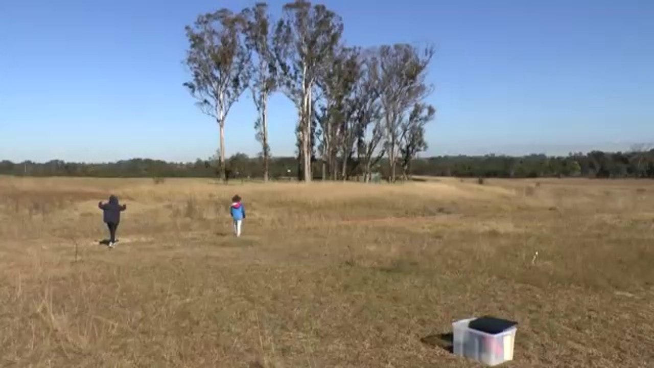 Day Water Rocket Highlights