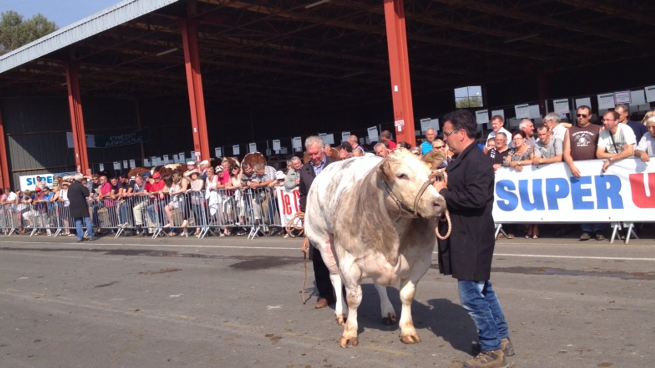 49e festival de la viande