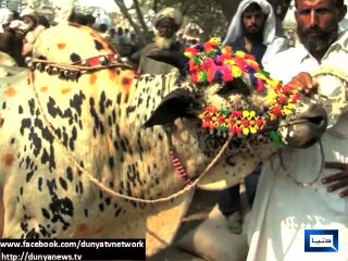 Dunya News - Prices do not seem to rise much on Eid this year