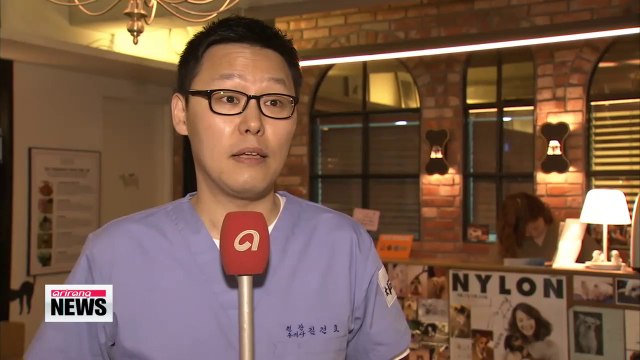 Pet hotels spring up as a possible solution for Chuseok travelers with furry friends