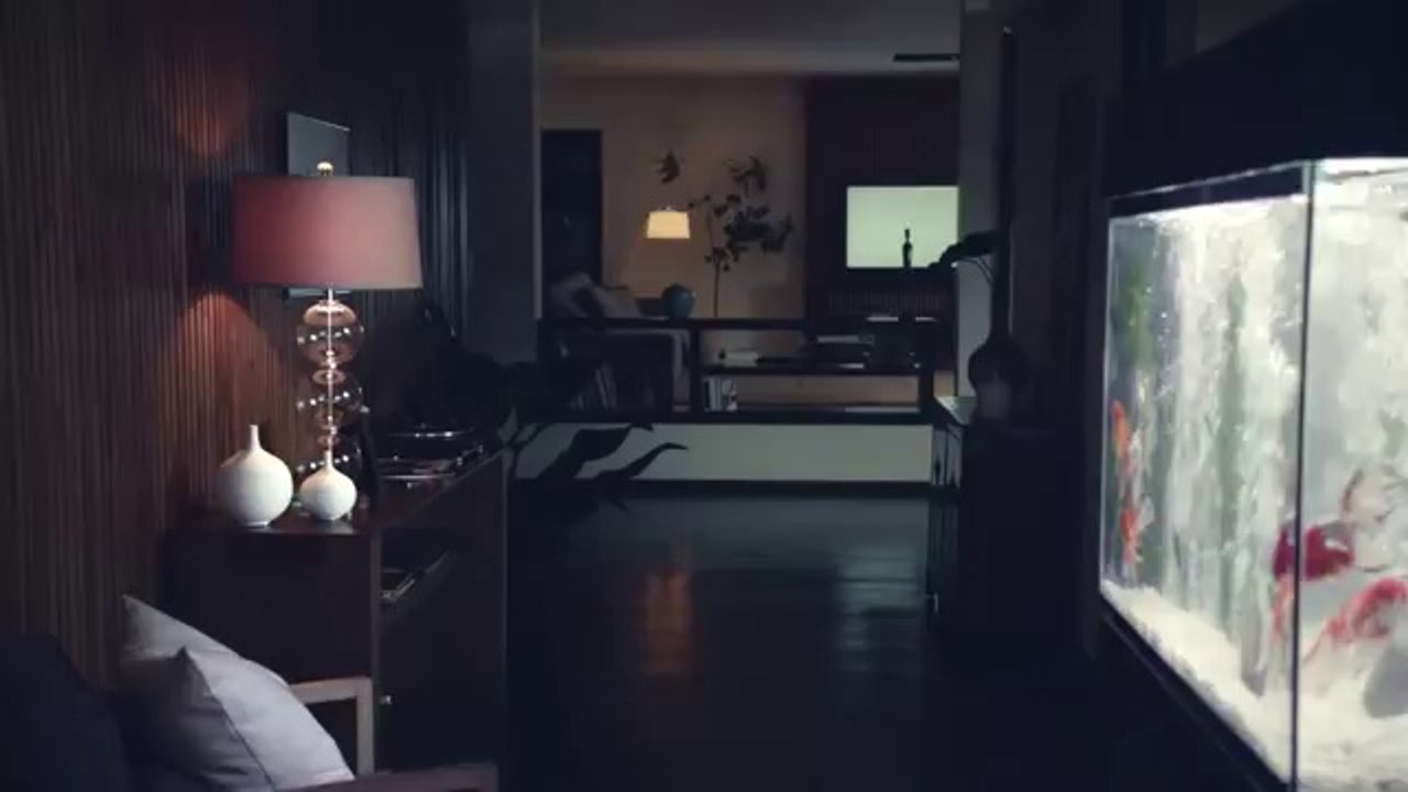 Audi Sobrecarga Almapbbdo