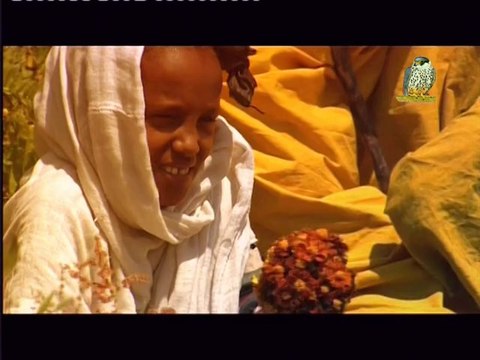 Mistérios por Revelar - ET2006 - Extraterrestres