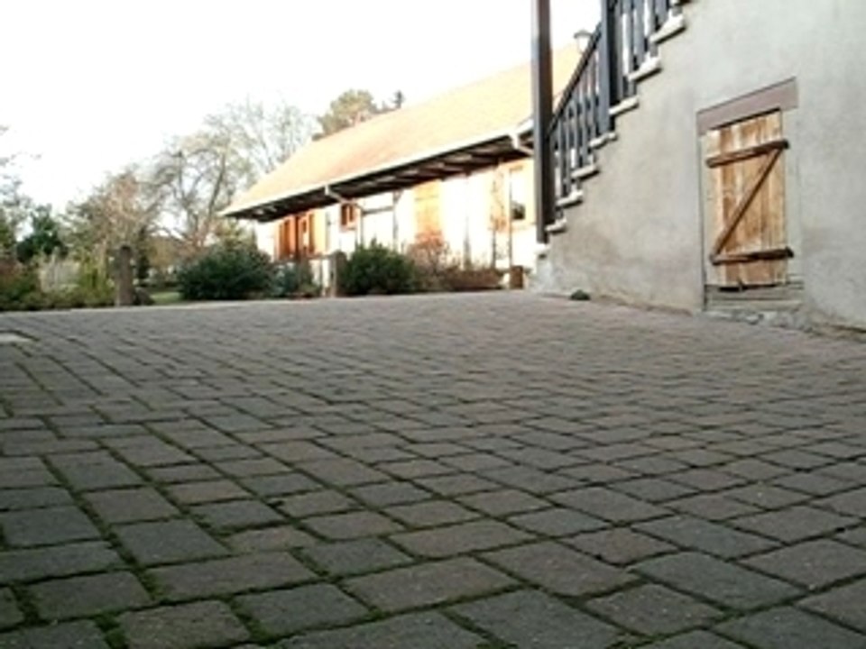 MVI_1420