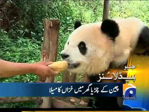 Geo Headlines-05 Sep 2014-0800