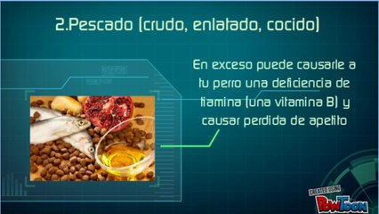 Alimentos Que No Puede Comer Tu Perro