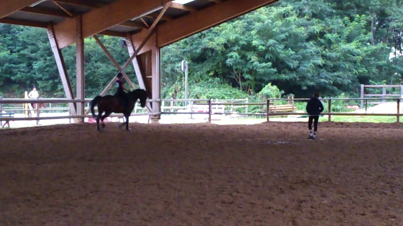 Dadante et Carole - Première séance