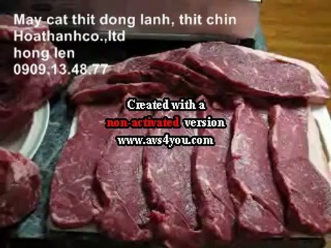 Máy cắt lát thịt chín, máy cắt chả lụa, máy thái thịt nguội, máy cắt thịt chín điều chỉnh độ dày mỏng MS250ST