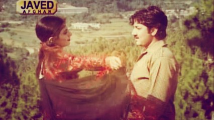 Nazia Iqbal, Javed Fiza - Da Malangay Kachkool