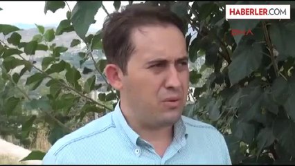 Karabük'te Yaban Hayatı Fotokapanla İzleniyor