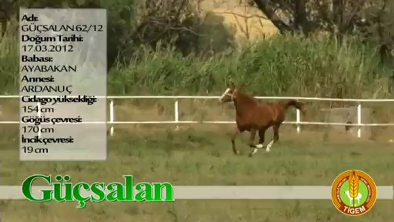 GÜÇSALAN