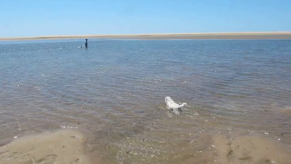 Crossing the Water