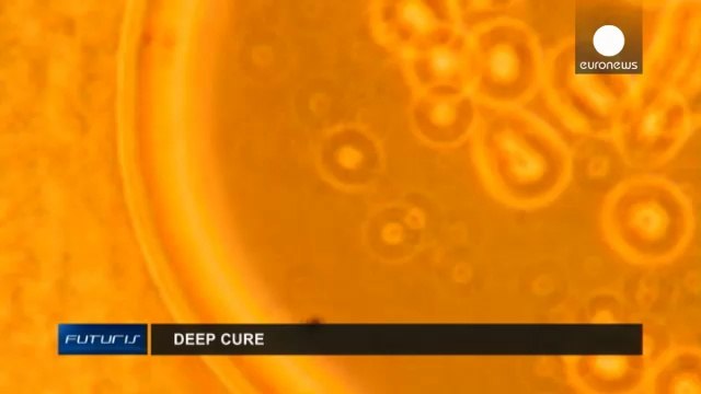 Microorganismos marinos: Farmacos del futuro